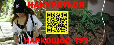 сатива Белореченск