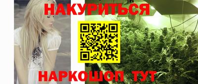 сатива Белореченск